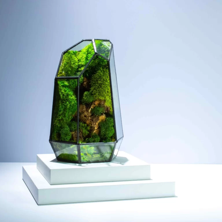 “Terrarium” A closed Ecosystem In Your Home